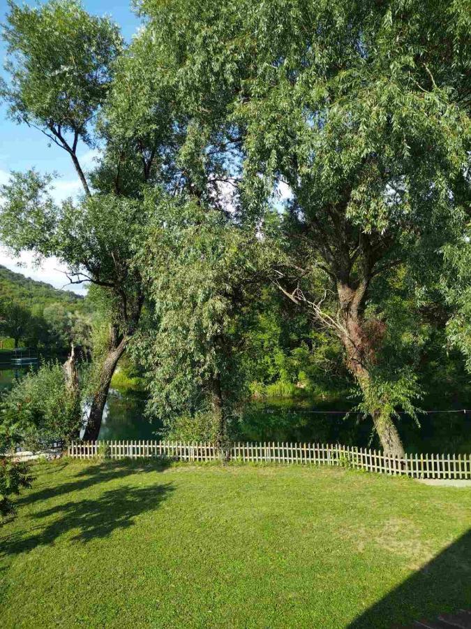 Kuca Delic Villa Racic Exteriör bild