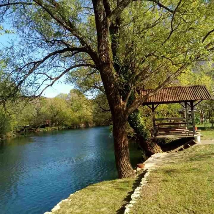 Kuca Delic Villa Racic Exteriör bild